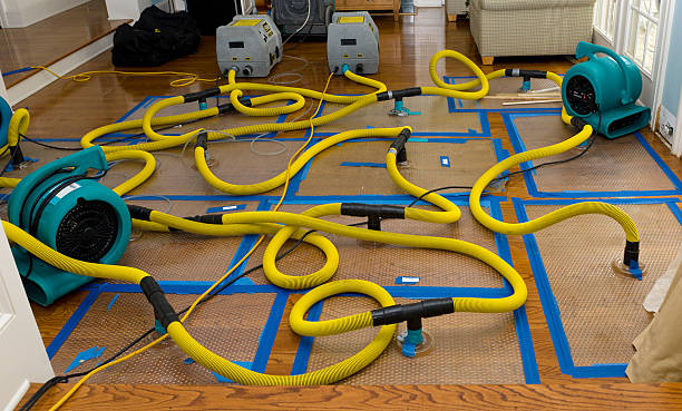 Professional Structural Drying And Dehumidification technician working in Silver Lake, FL